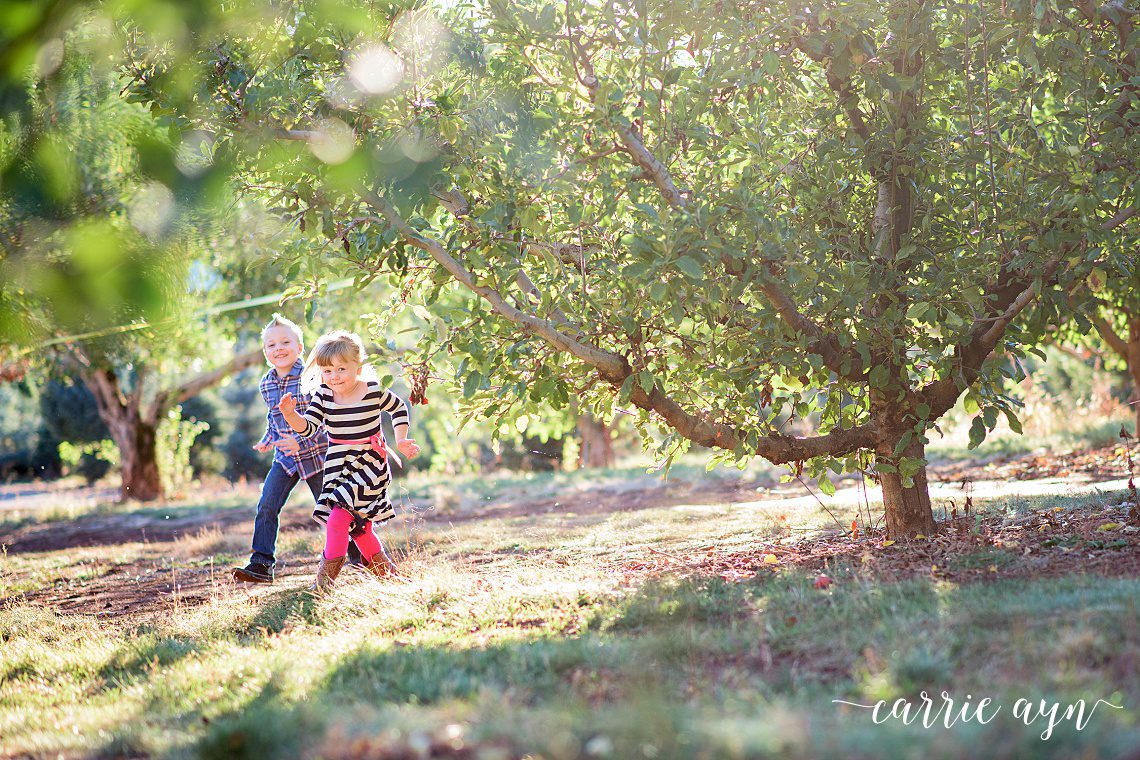 Carrie Ayn; Apple Hill Photographer; Placerville Family Photographer; El Dorado Hills Photographer; Family Photographer; Cameron Park Photographer; Sacramento Photographer