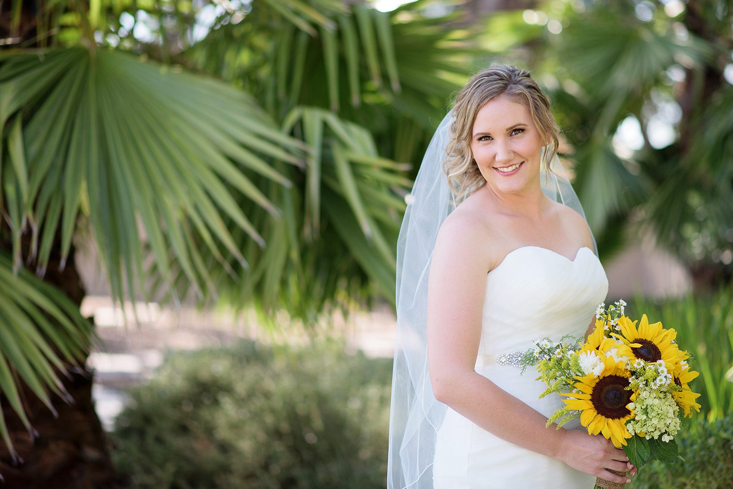 Carrie Ayn; Sacramento Wedding Photographer; El Dorado Hills Wedding Photographer; Cameron Park Wedding Photographer