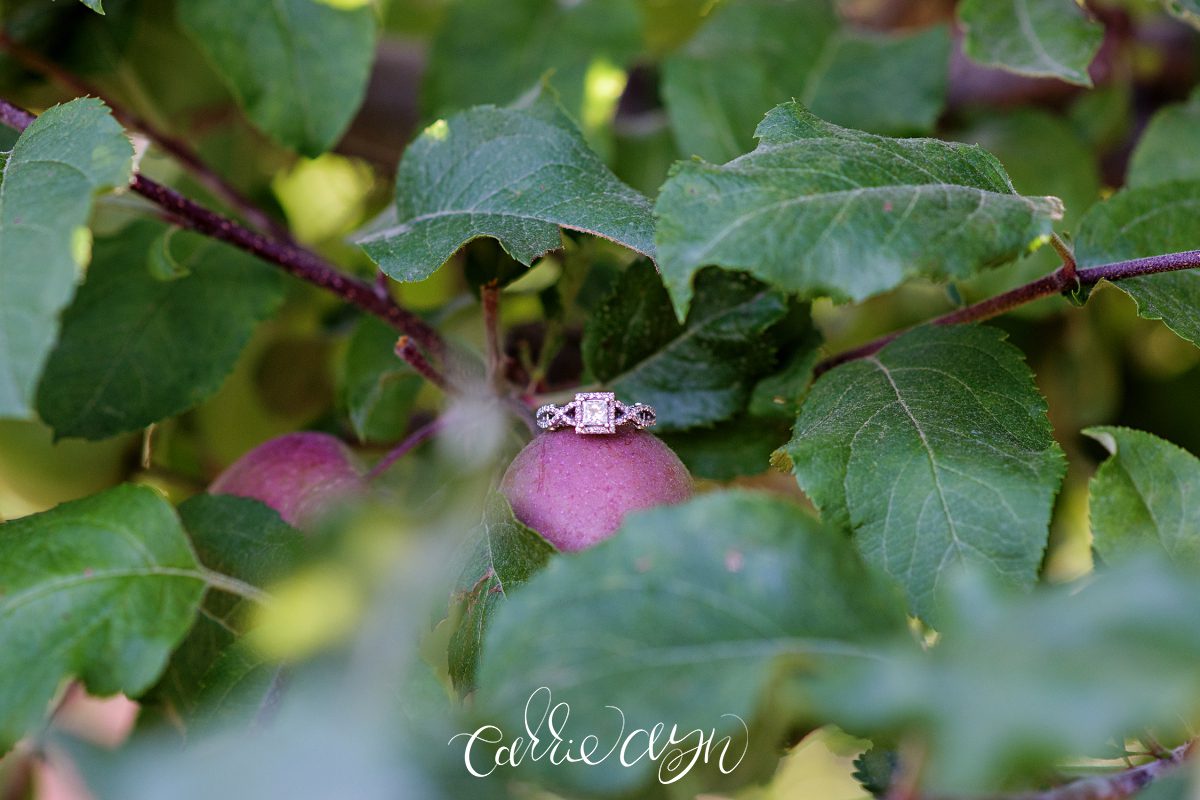 Carrie Ayn; Apple Hill Engagement Photographer; Placerville Engagement Photographer; Apple Hill Photographer
