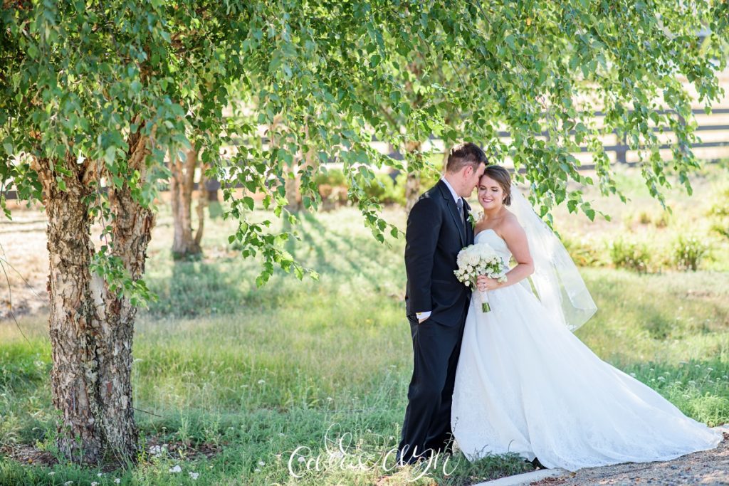 Steven + Melissa | Elk Grove Backyard Wedding Photographer » Carrie Ayn