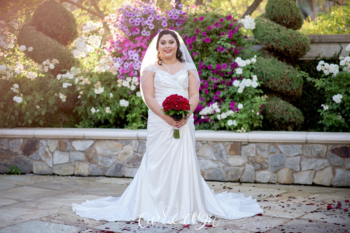 Arden Hills; Arden Hills Wedding Photographer; Sacramento Wedding Photographer; Cameron Park Wedding Photographer; Carrie Ayn