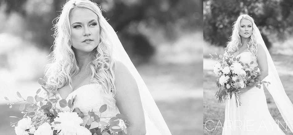 Carrie Ayn; Lehman Barn; Lehman Barn Wedding; El Dorado Hills Wedding Photographer
