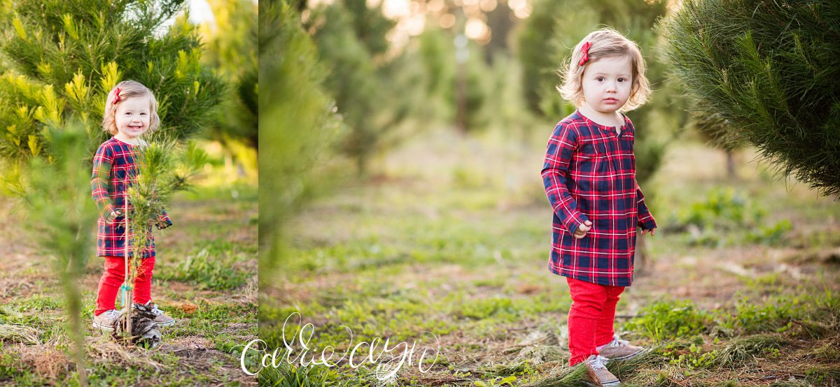 Carrie Ayn; Silveyville Christmas Tree Farm; Dixon Family Photographer