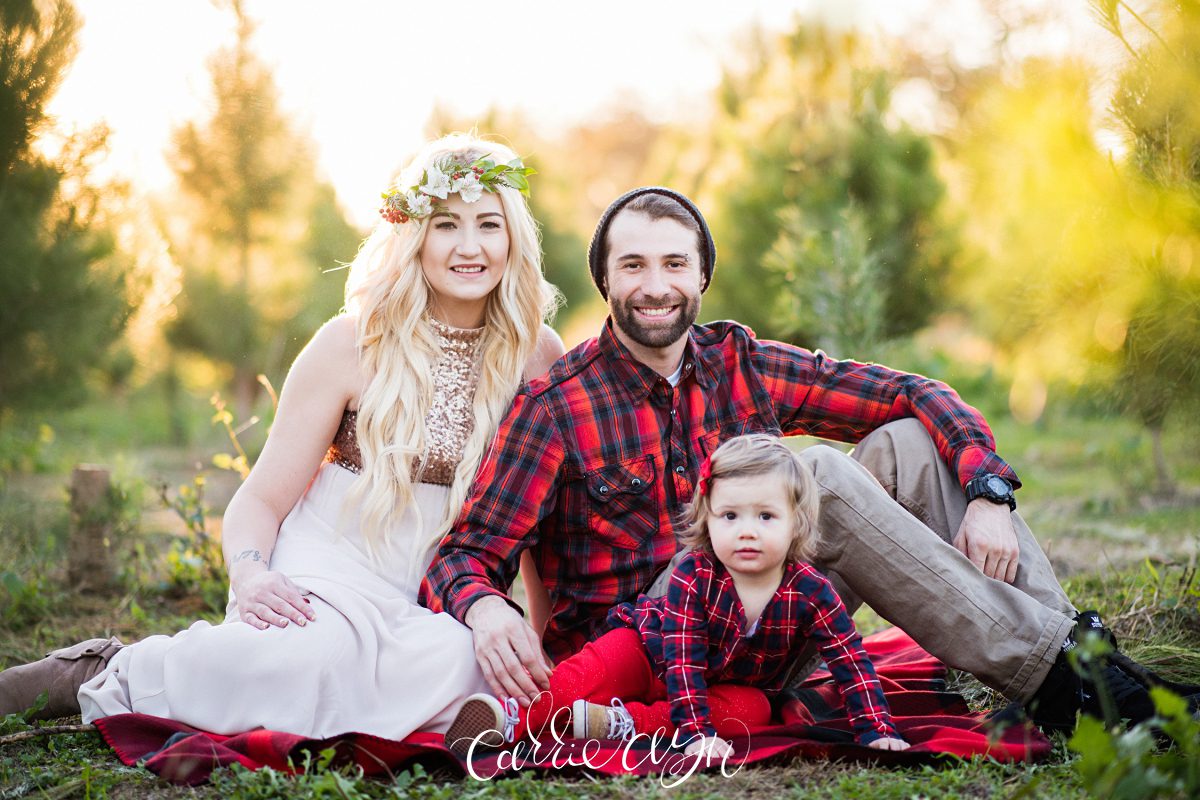 Carrie Ayn; Silveyville Christmas Tree Farm; Dixon Family Photographer