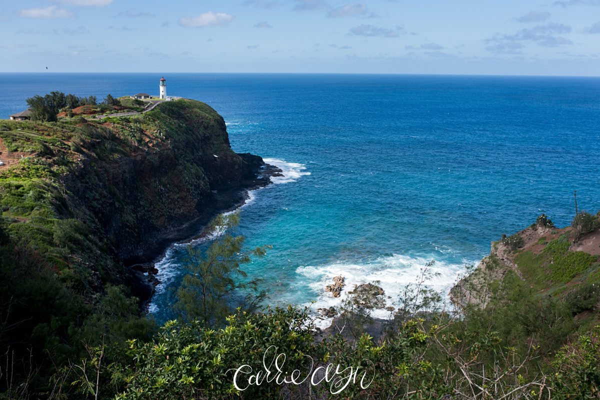 Hawaii; Vacation; Oahu, Kauai; Photographer; Carrie Ayn