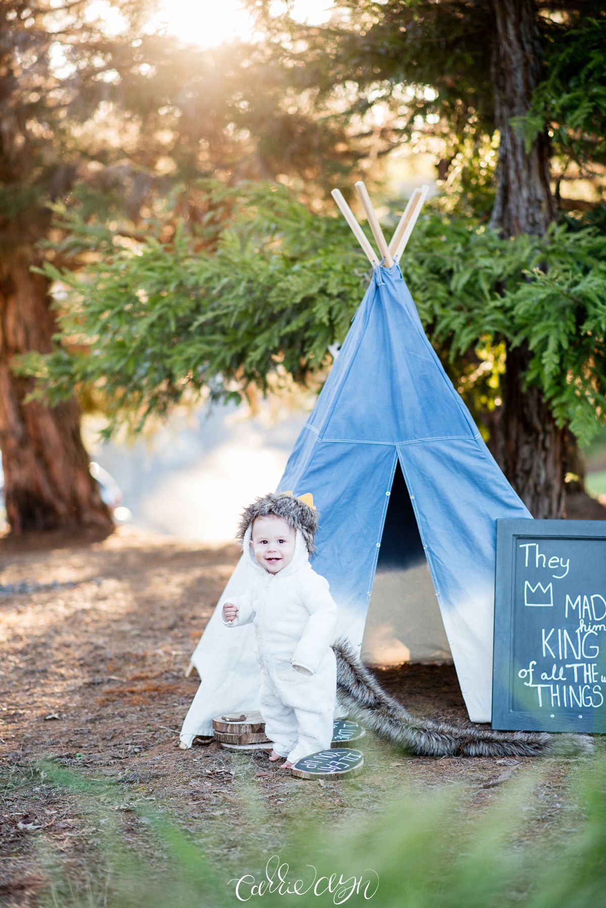 Where the Wild Things are Birthday Session