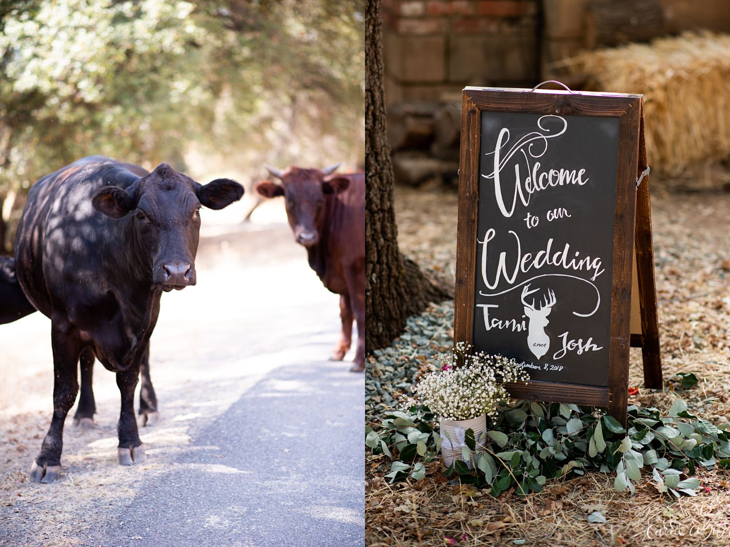 Hagen Ranch in El Dorado Wedding Photographer