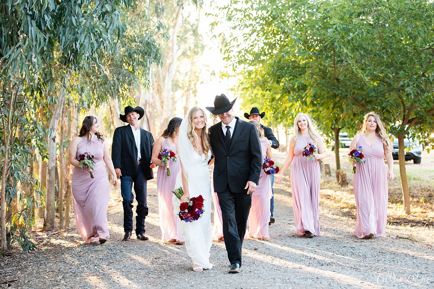Backyard Country Wedding in Wilton California