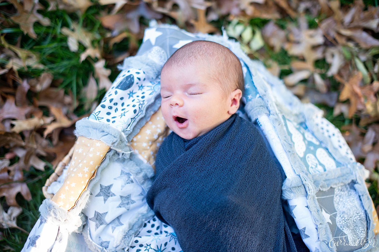 Sacramento Newborn Photographer