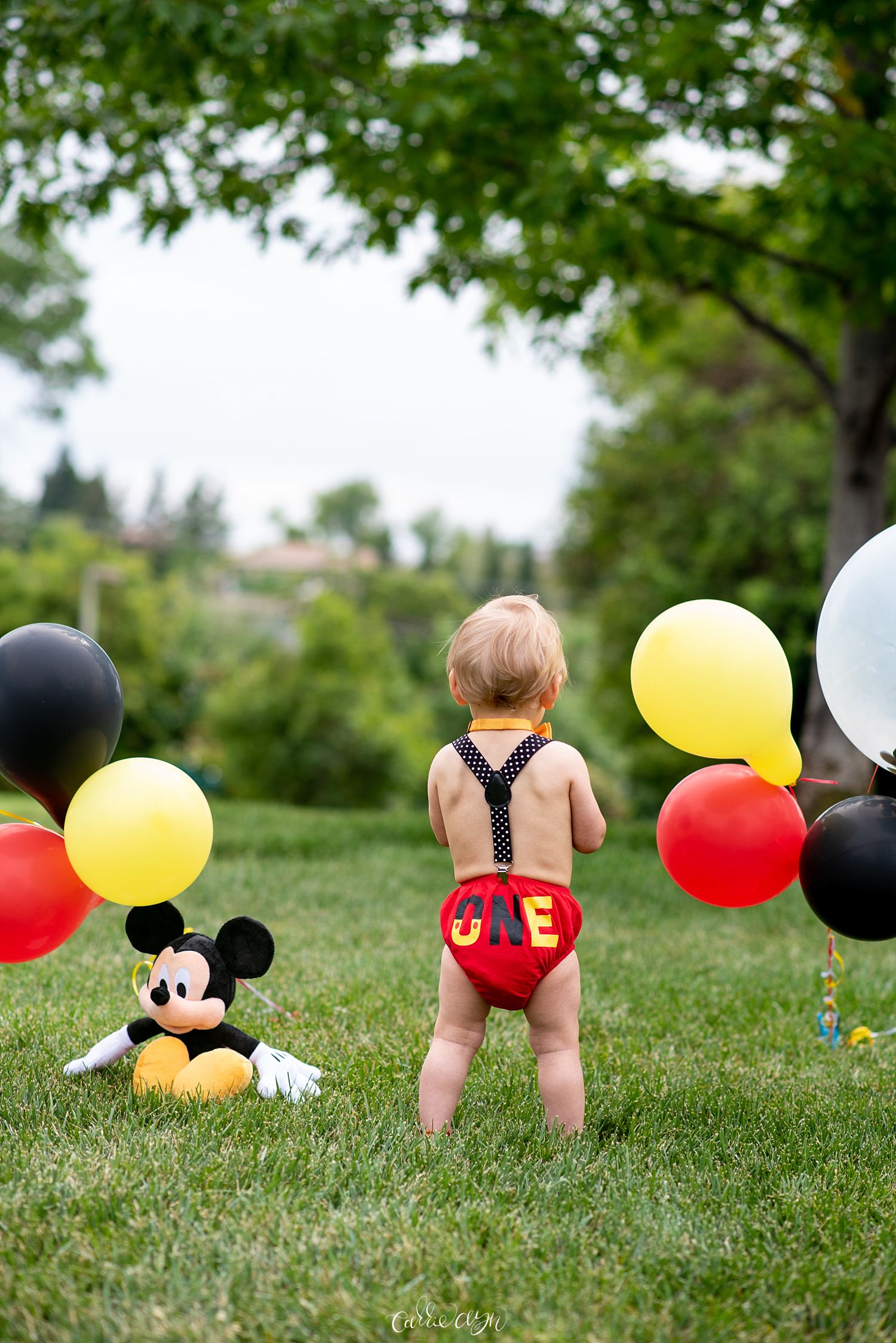 Disney Mickey Mouse Birthday Session