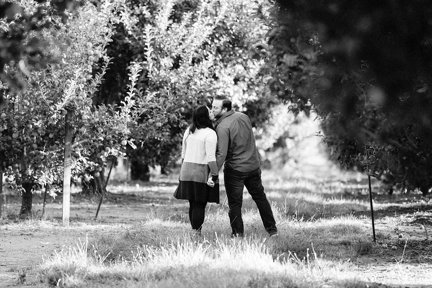 Apple Hill Engagement Photographer