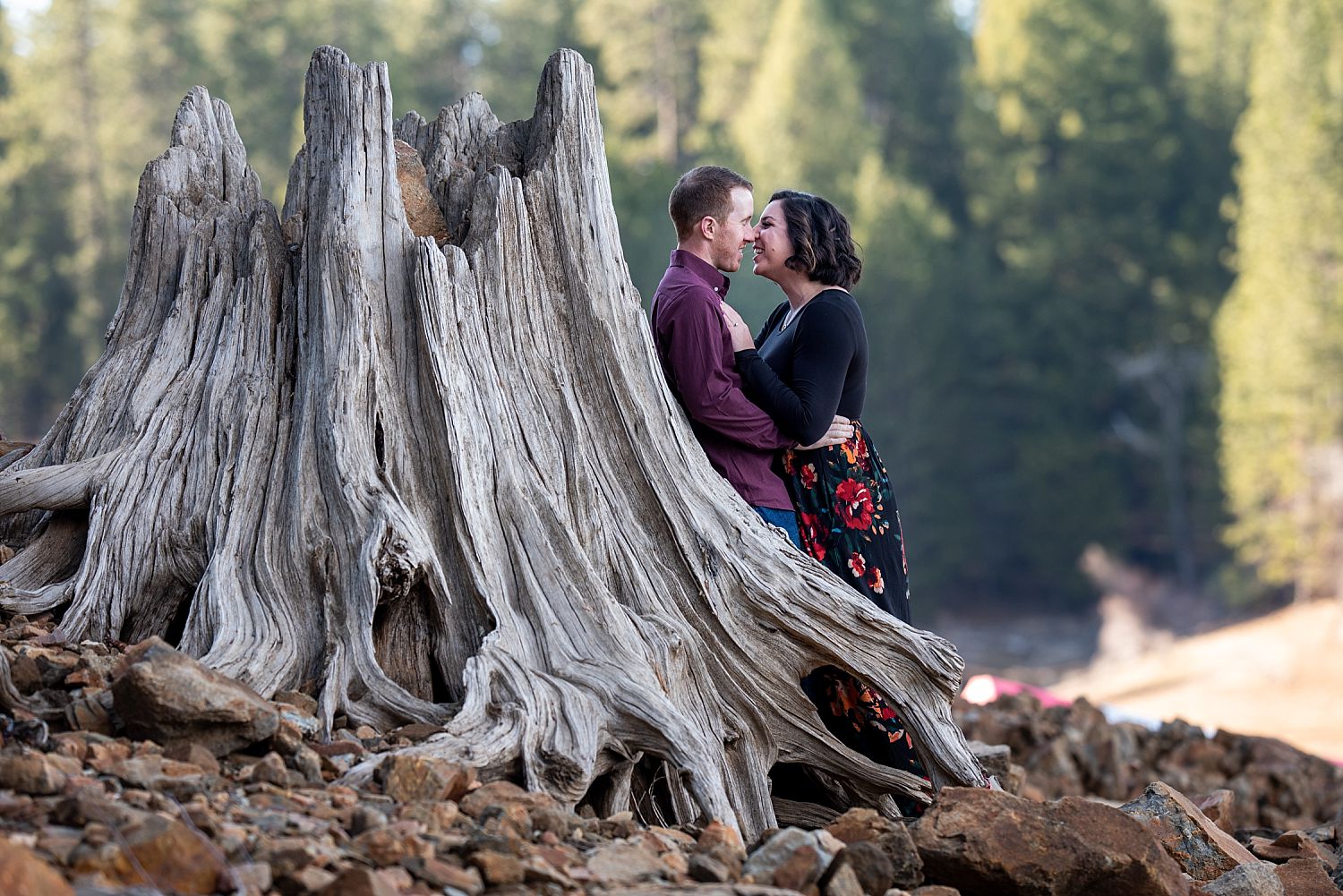 Sly Park Engagement Photographer