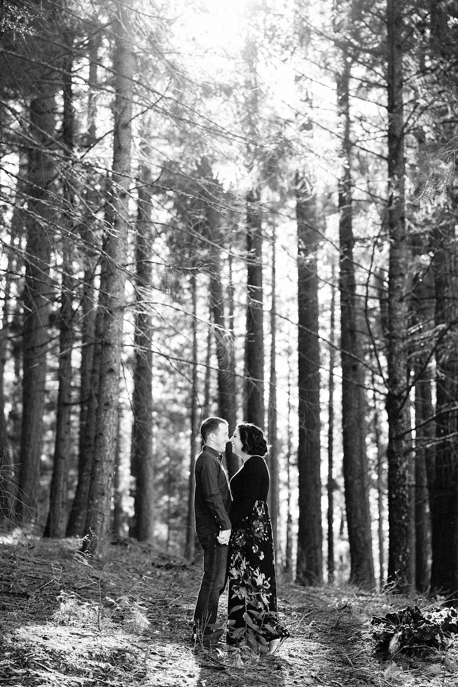 Sly Park Engagement Photographer