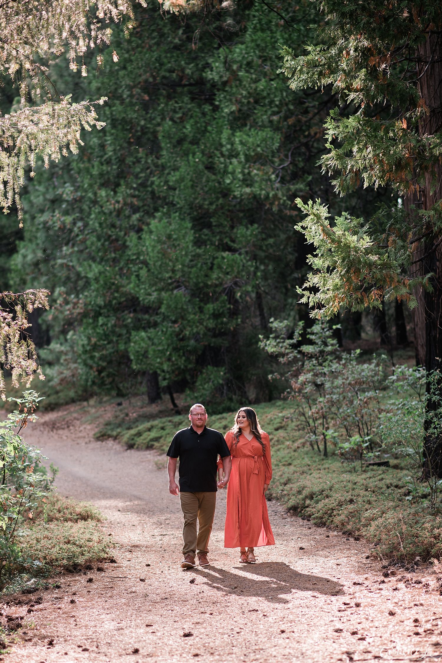 Sly Park Woodsy Engagement Session