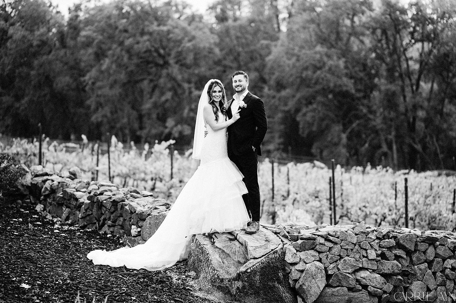 Cielo Estate Winery Wedding in Shingle Springs